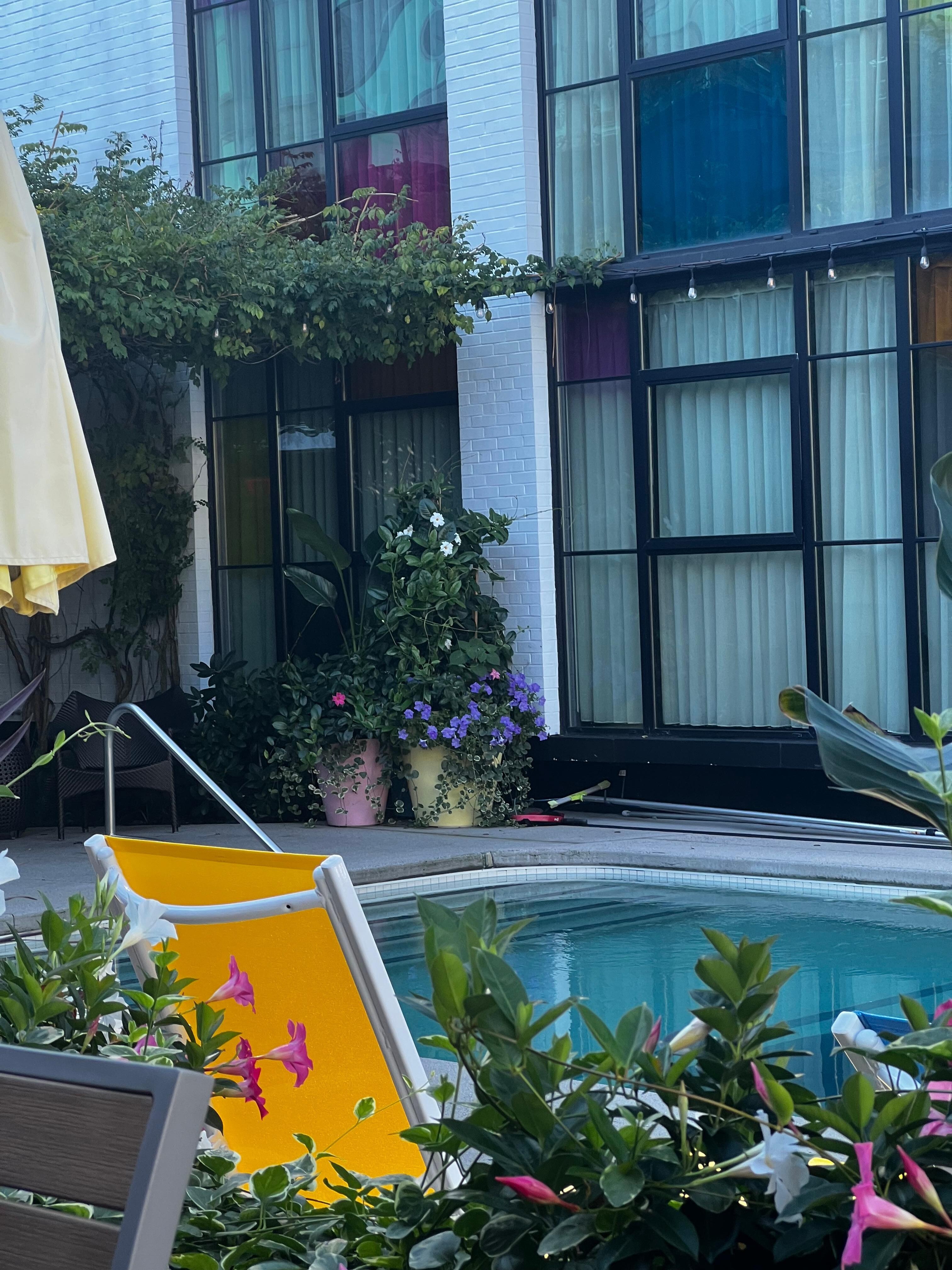 Outdoor pool view toward rooms. 