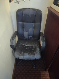 Cat chair