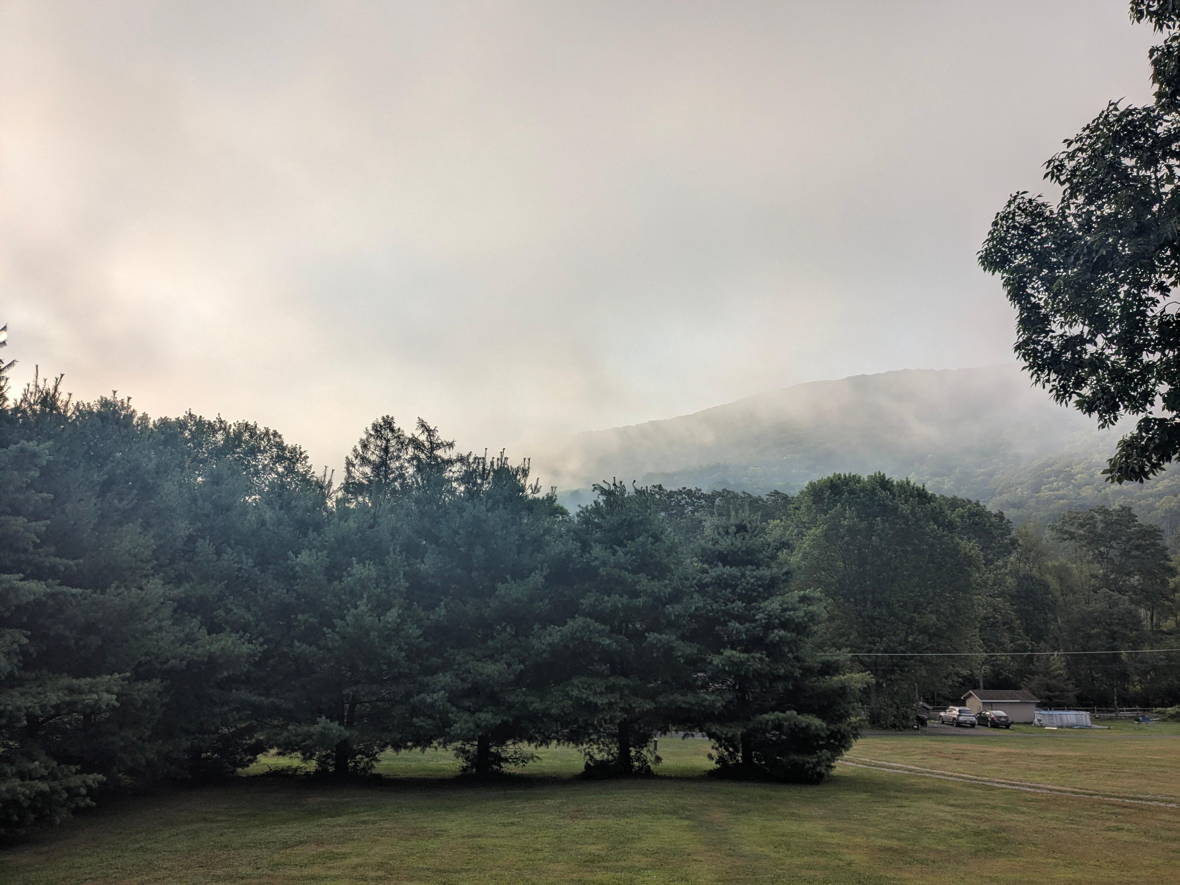 Scene from front porch 