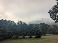 Scene from front porch