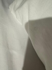 Used sheets with multiple hair and stains.