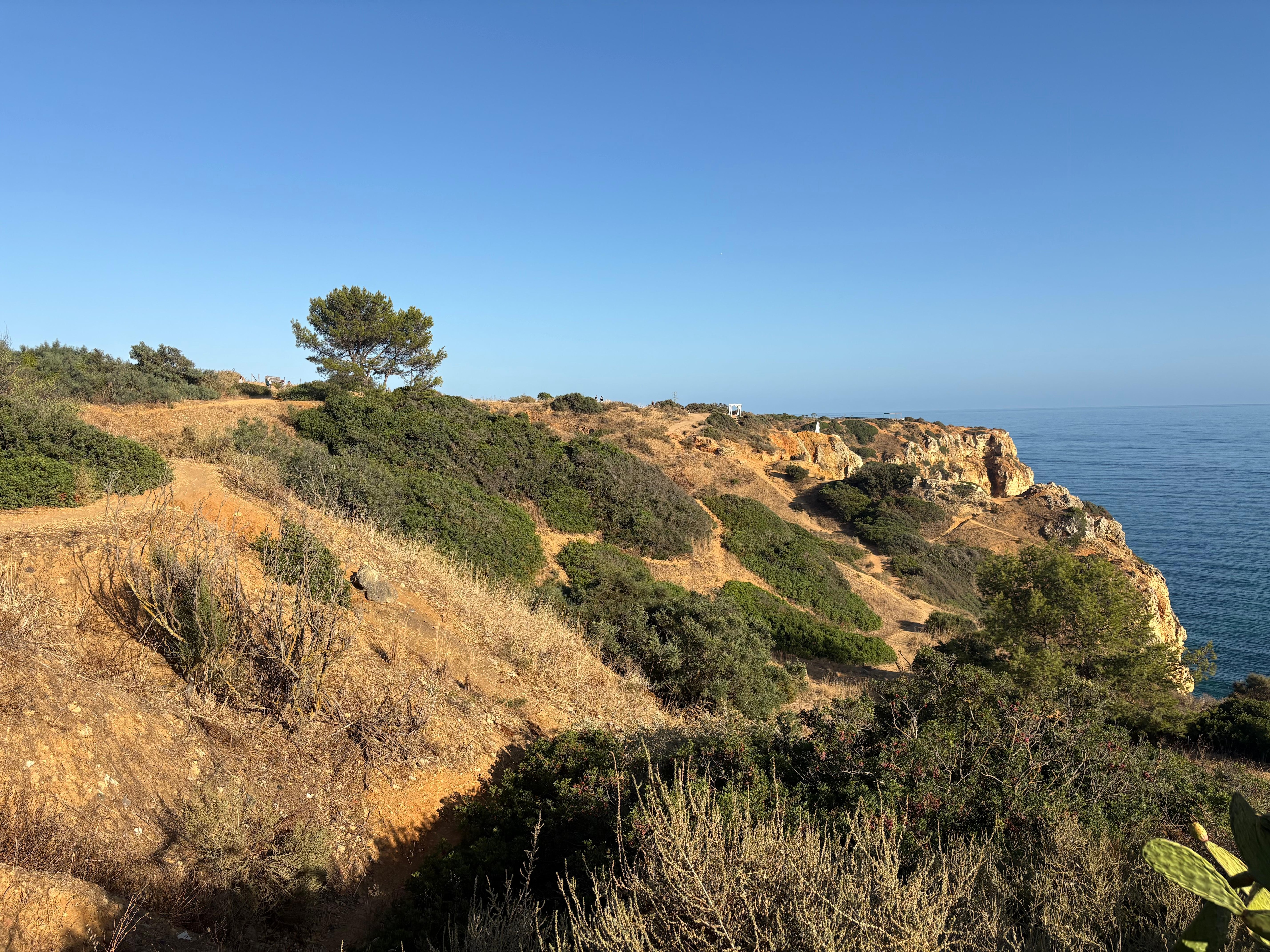 Very close to the popular scenic board walk.