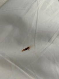 Mancha marrom nos lençóis -