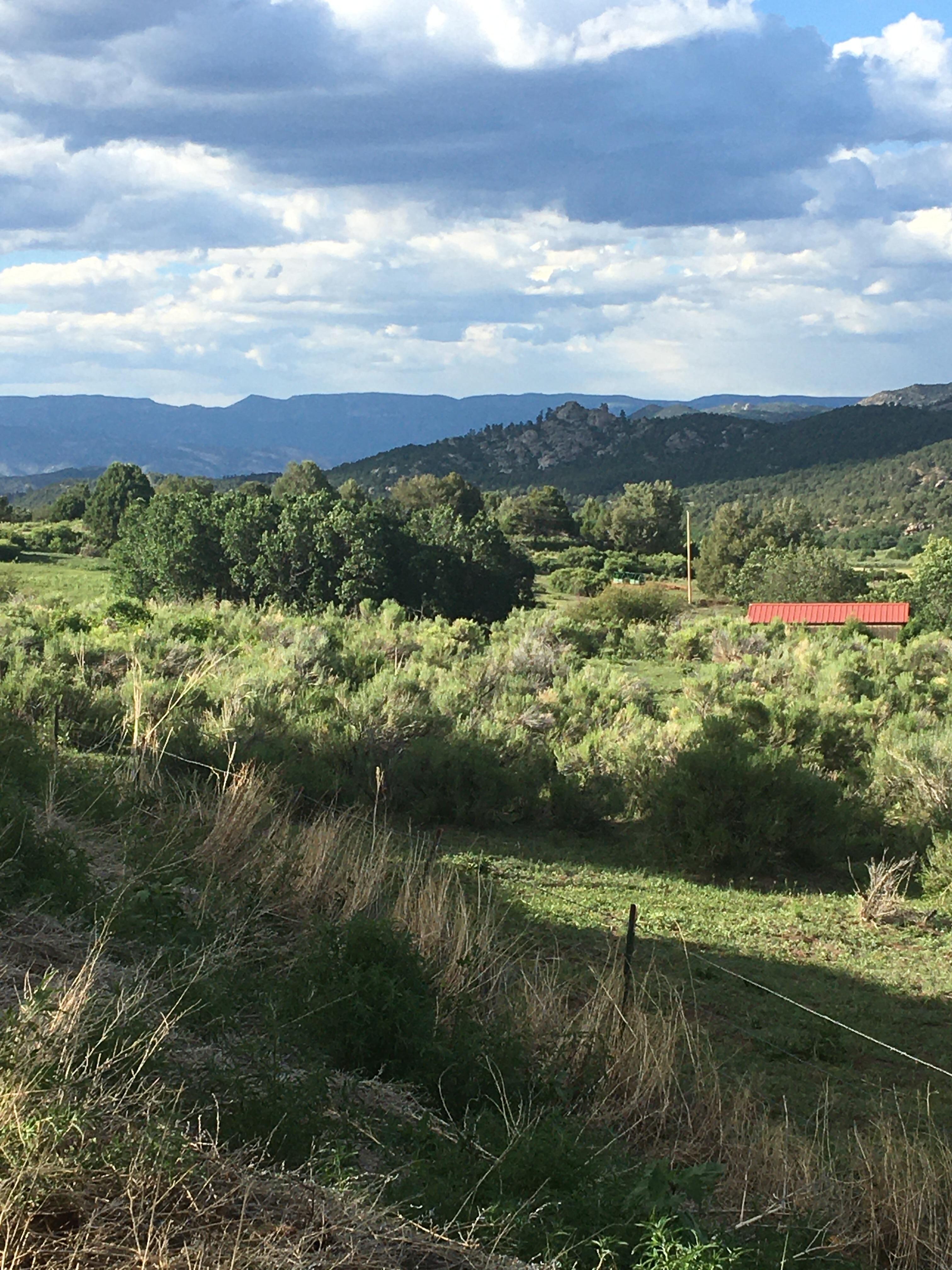 Another view at the View House 