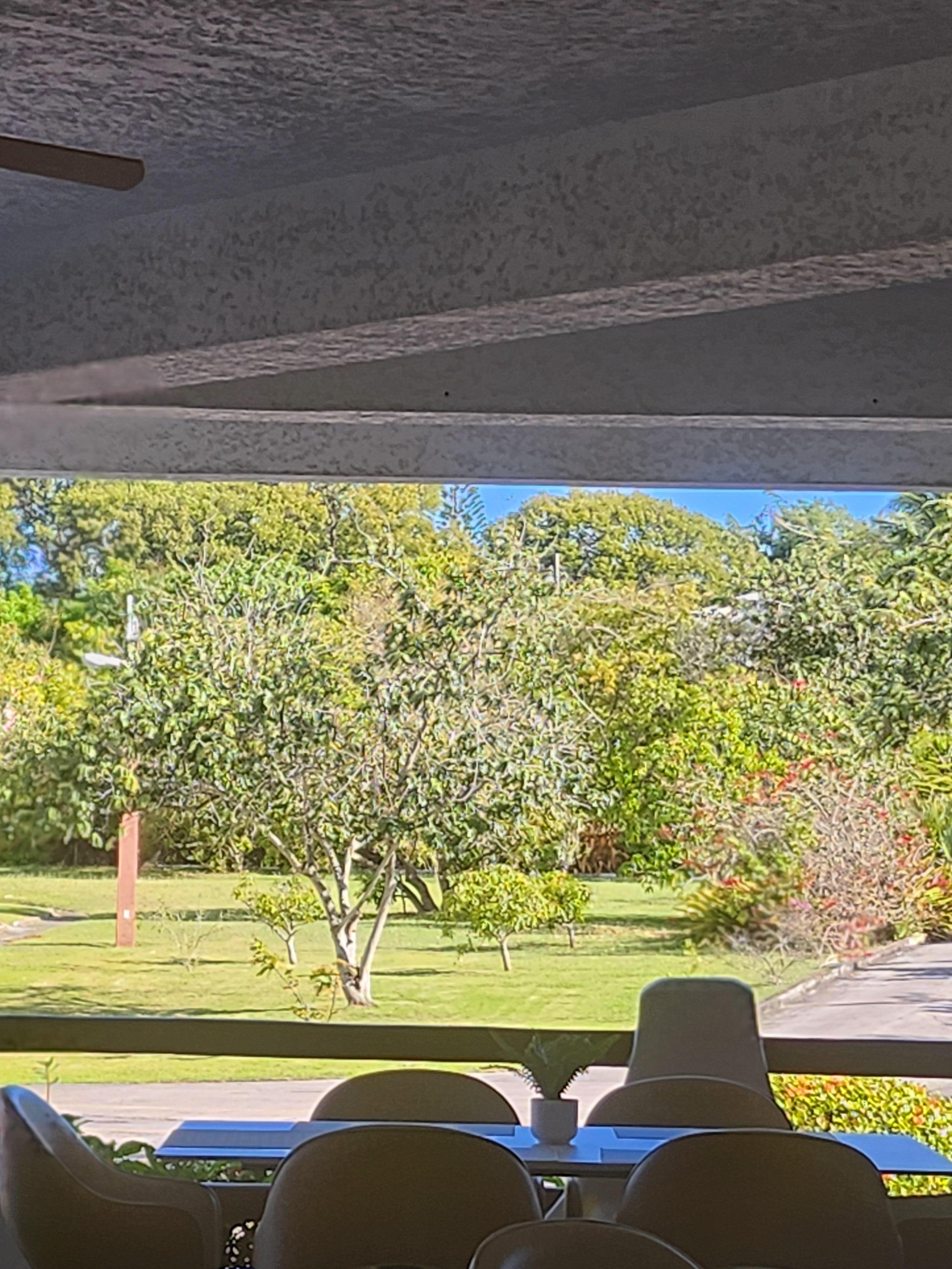 Photo of ground from reception area