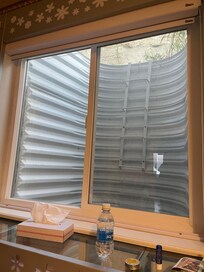 Back window