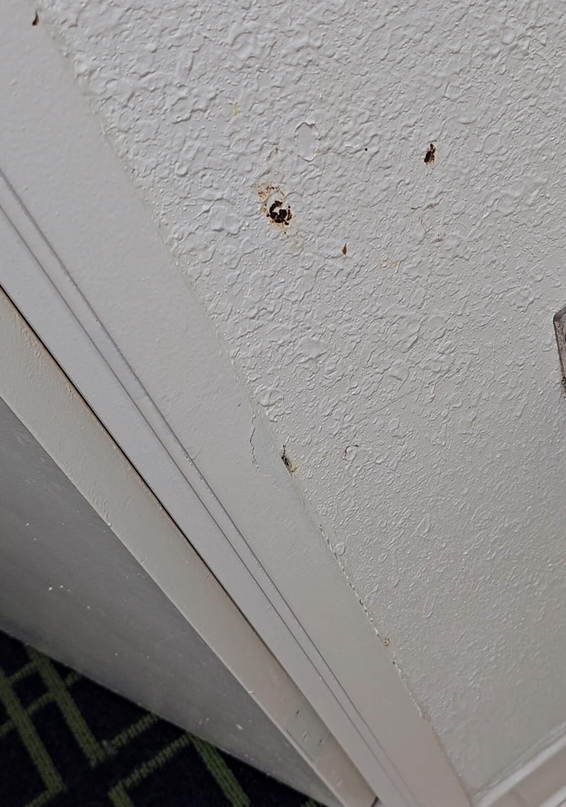 Wall by bathroom door