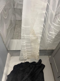 Dirty shower curtain