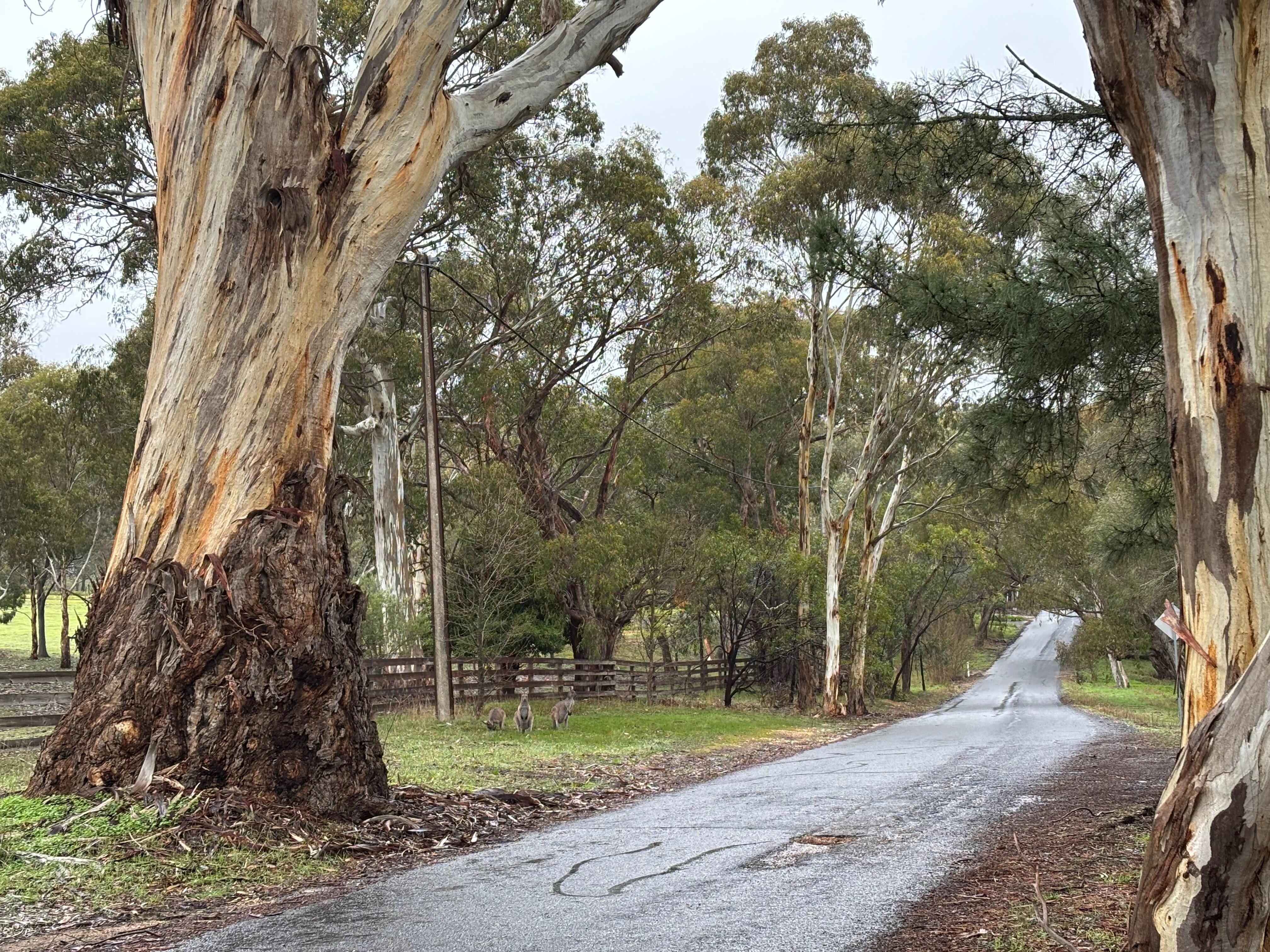 Nature surrounds, house well resourced. For all needs.