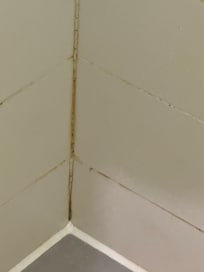 Condition of Bathroom