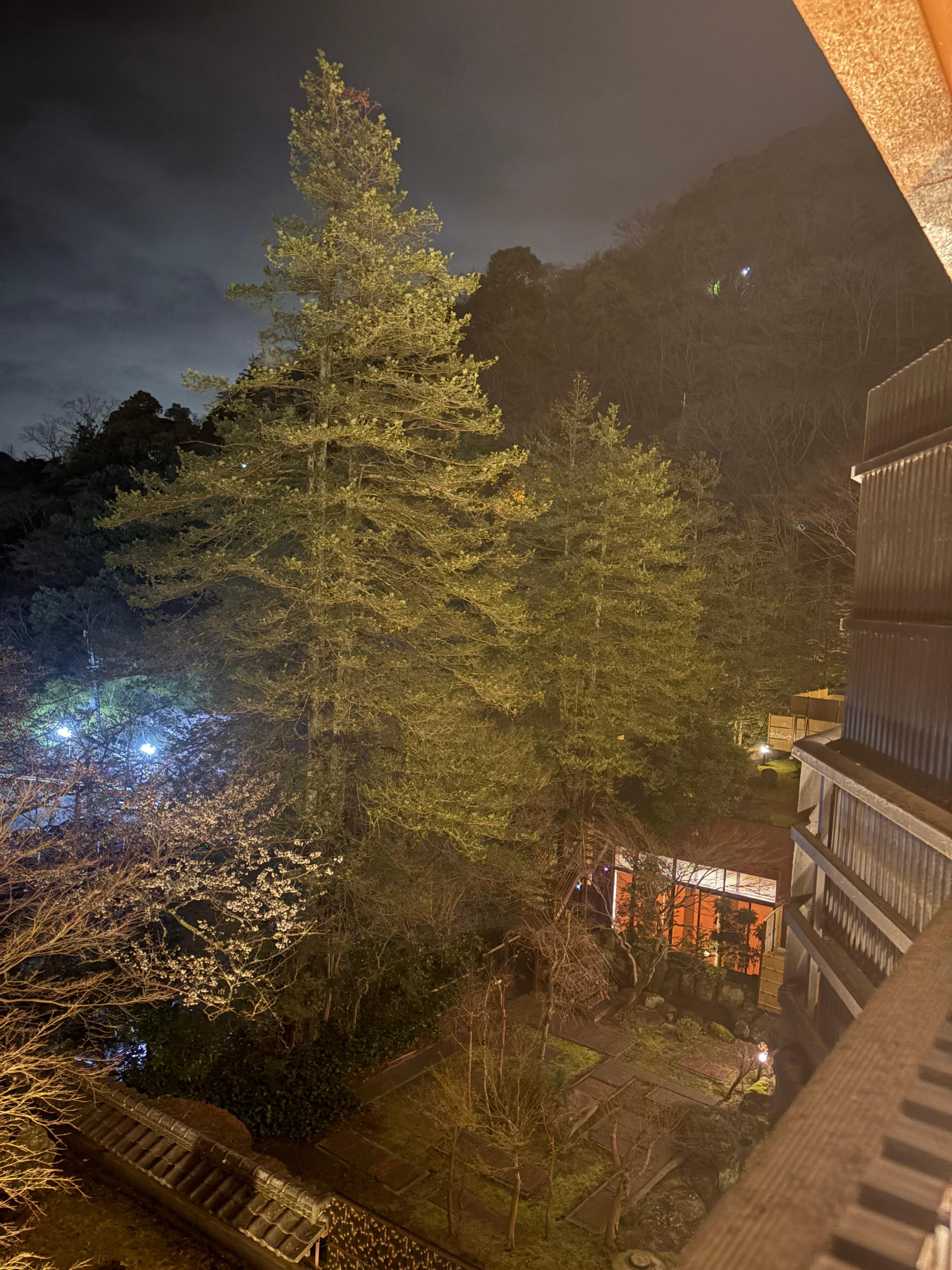 夜、お部屋からの眺め