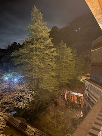 夜、お部屋からの眺め