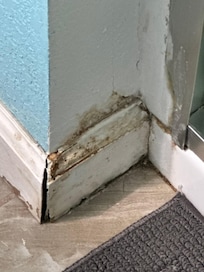 Mold ongoing water damage at the base of the shower.