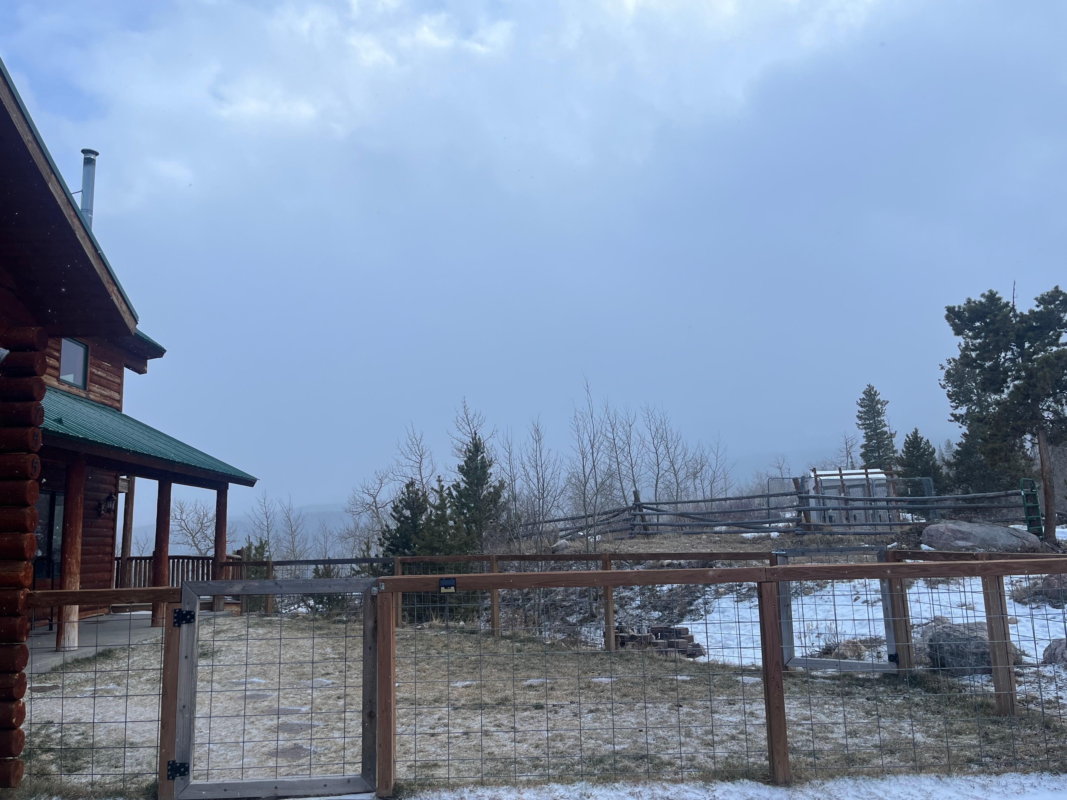 Front/Side of the cabin