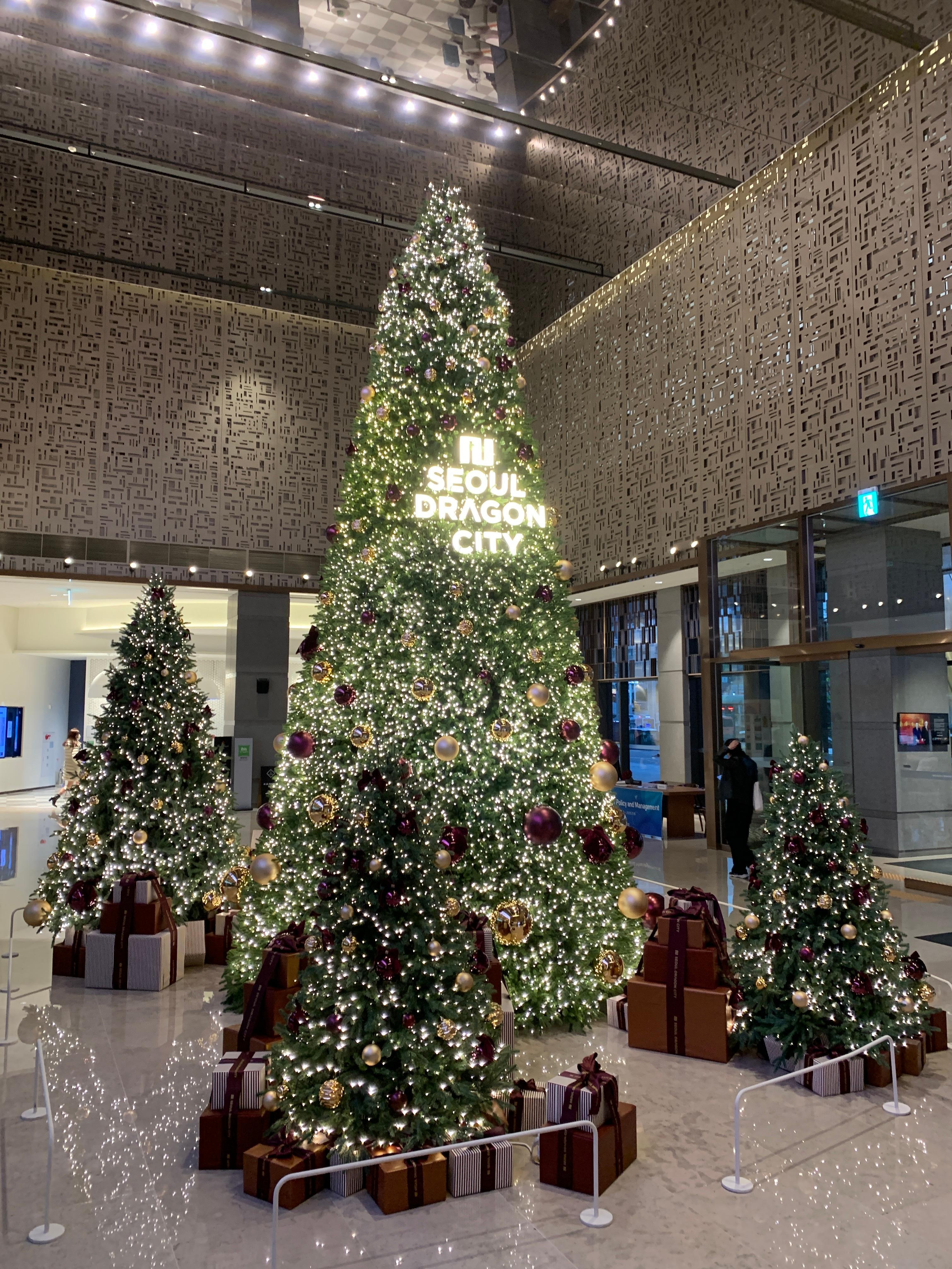 11月には、ロビーに大きなクリスマスツリーが飾らせてて素敵でした。
