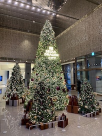 11月には、ロビーに大きなクリスマスツリーが飾らせてて素敵でした。