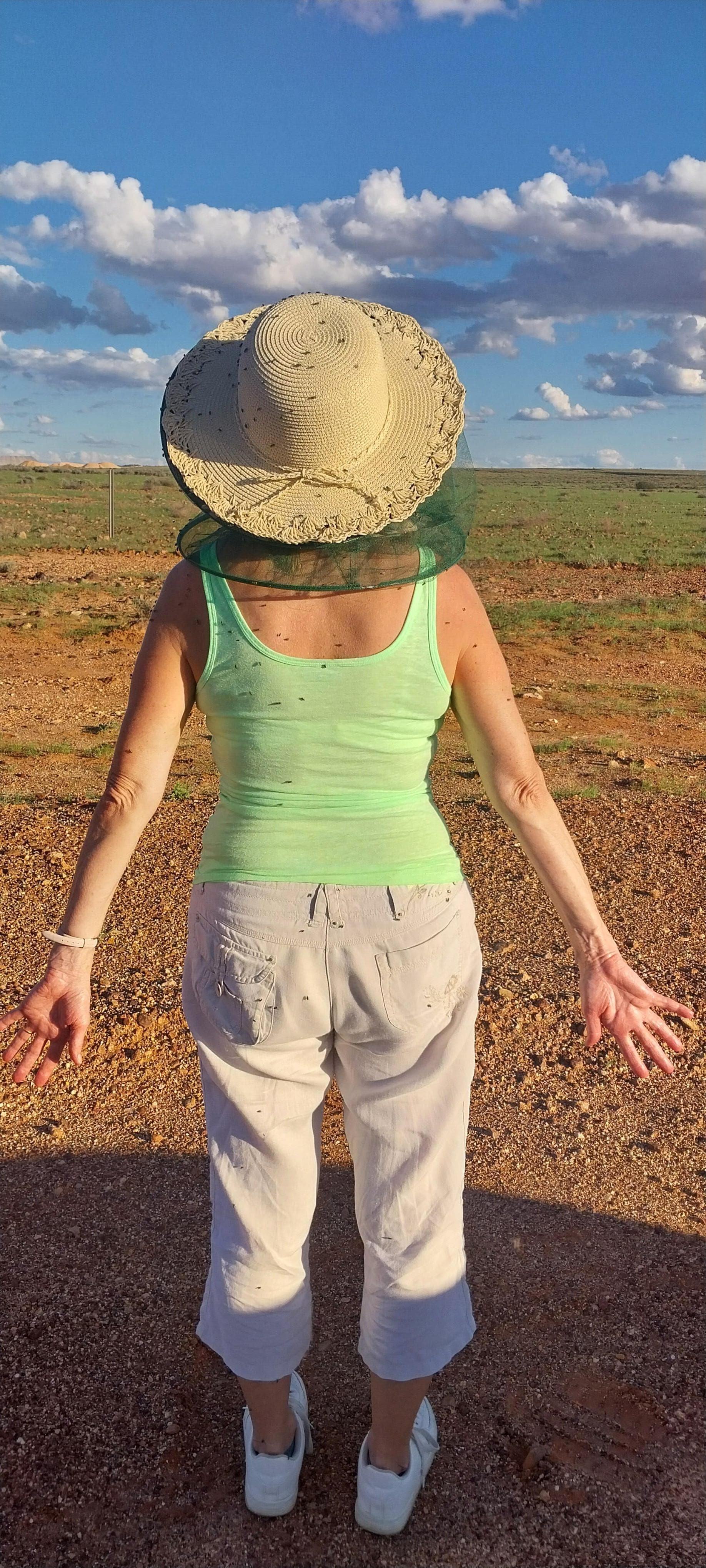 The flies (do drive you mad)