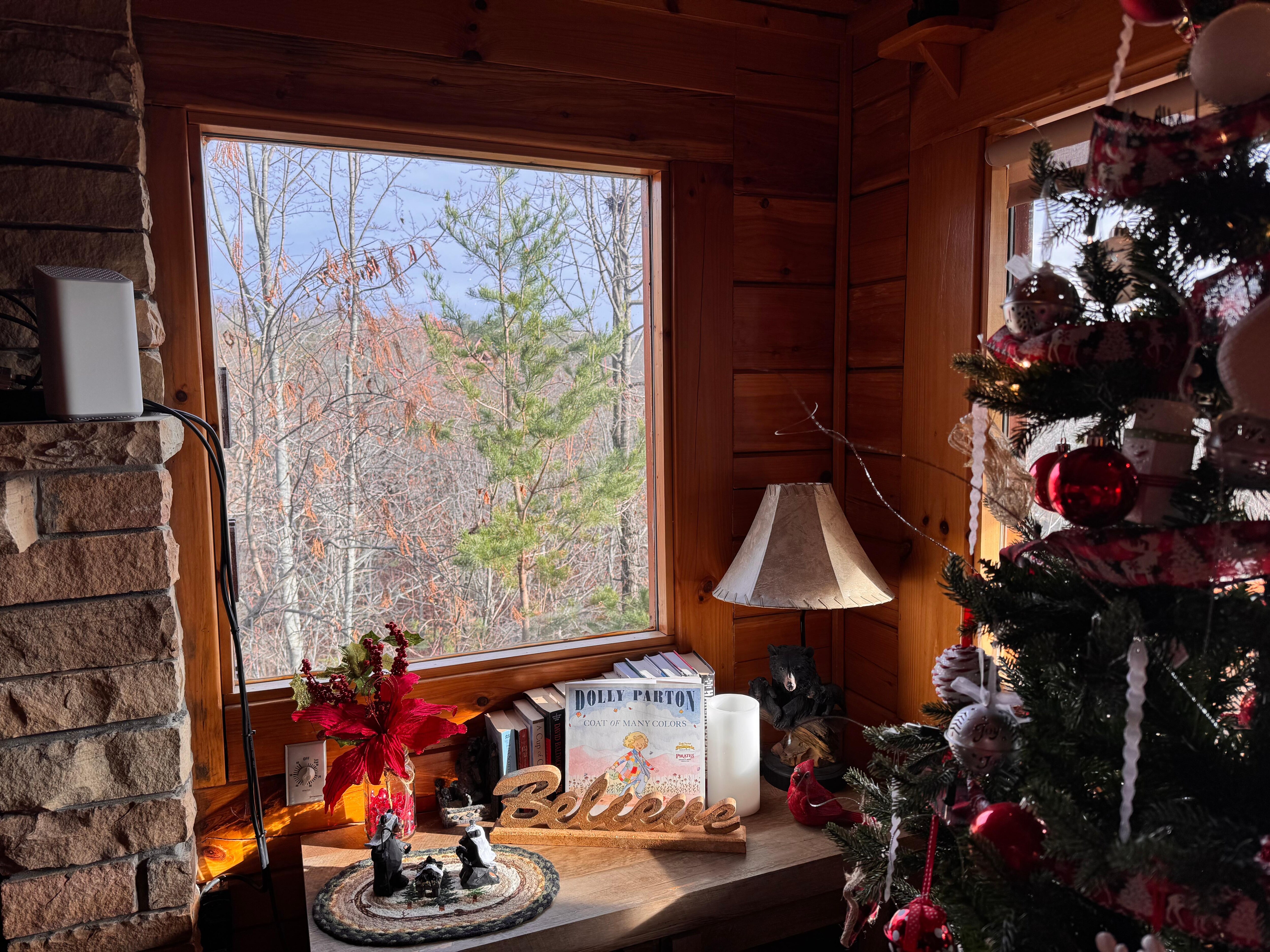 Natural beauty out every window!