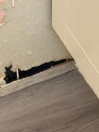 A hole in the wall caused concerns that maybe small rodents may enter