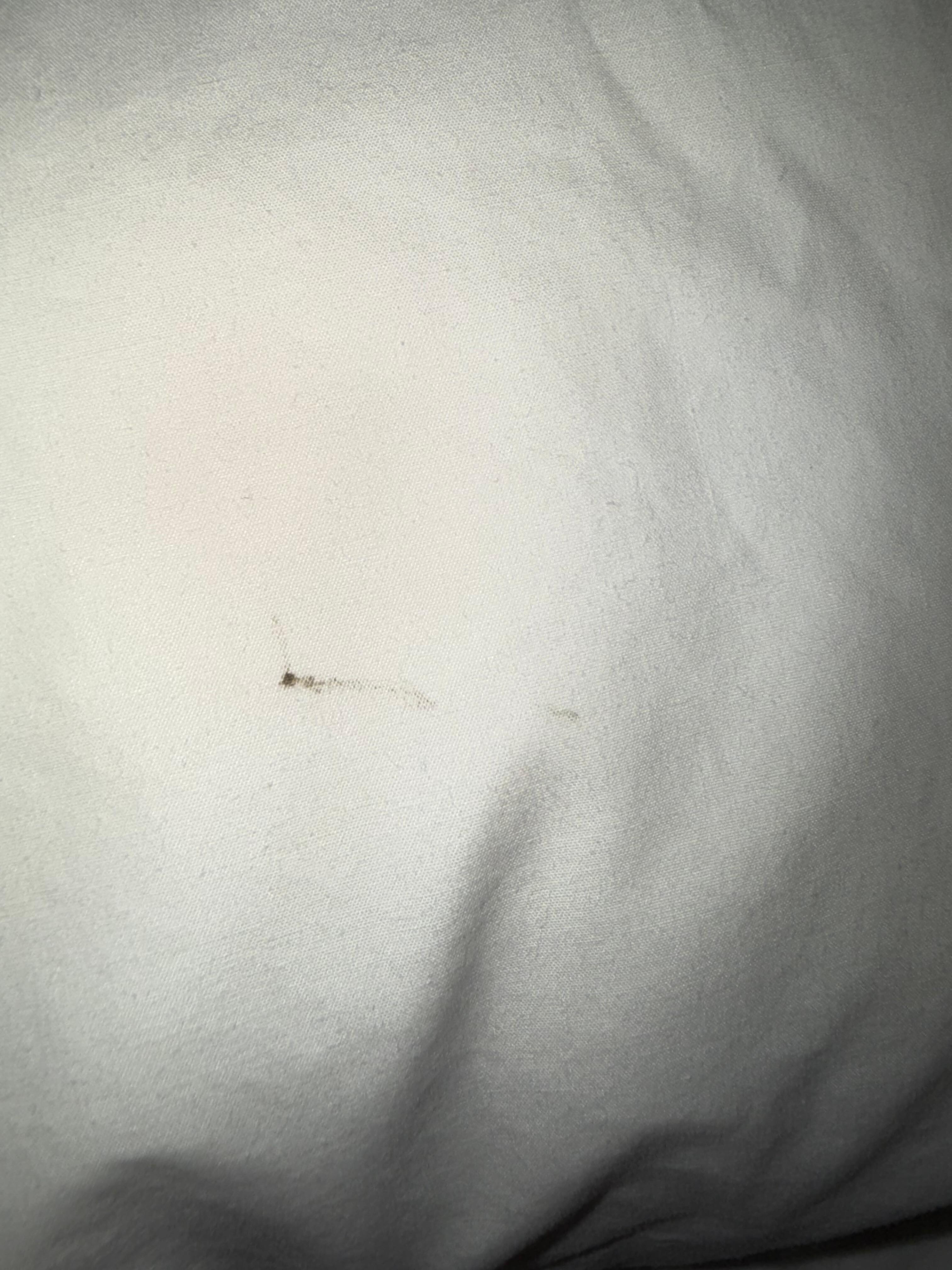Black mark on pillow in new room