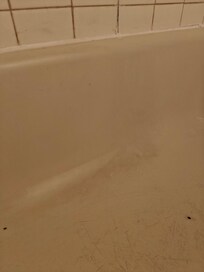 Biofilm and soap scum that came off with a swipe