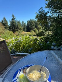lunch on the back deck