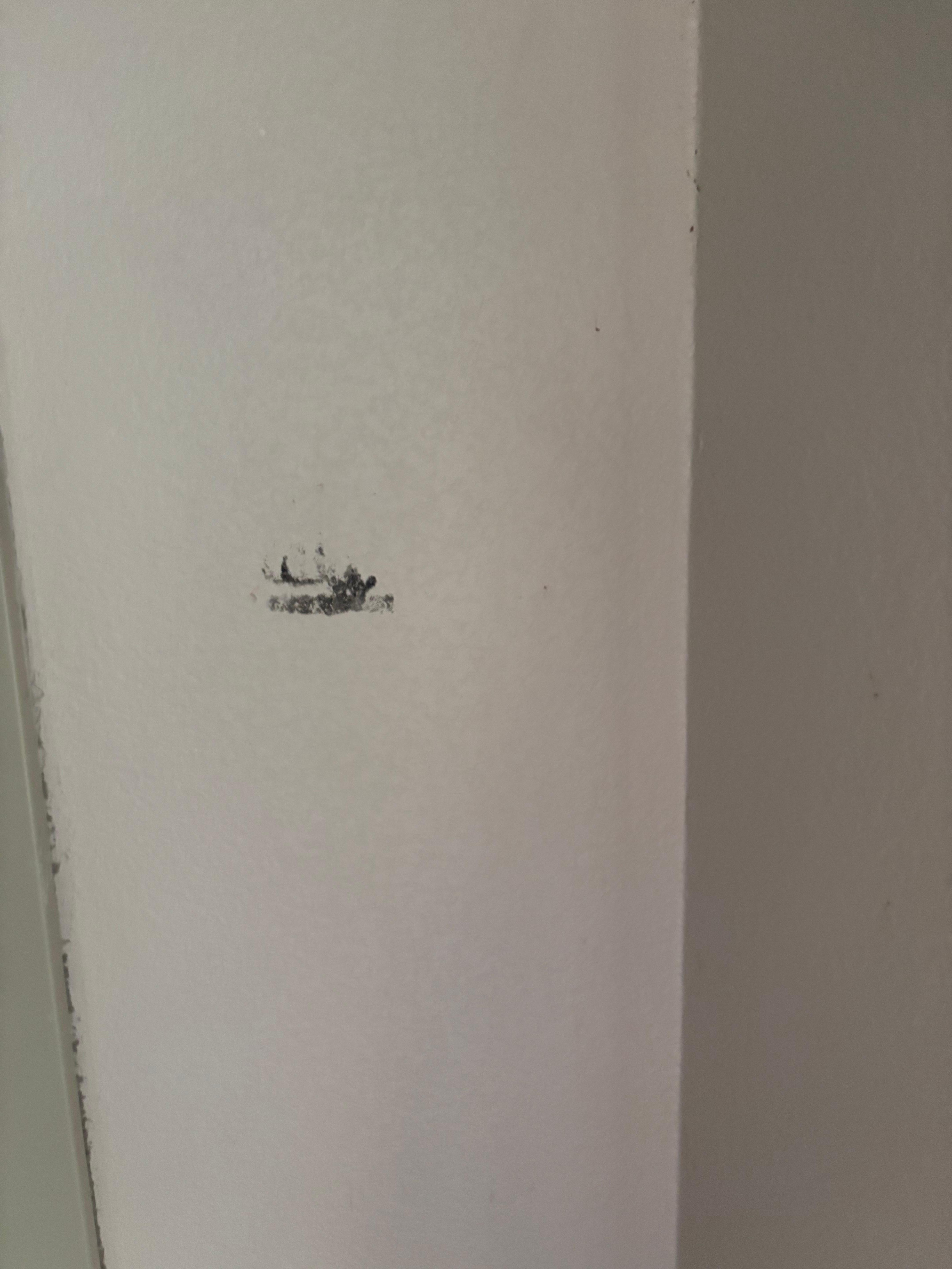 Marks on walls