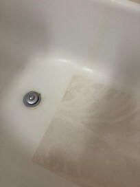 Bathtub unsanitary