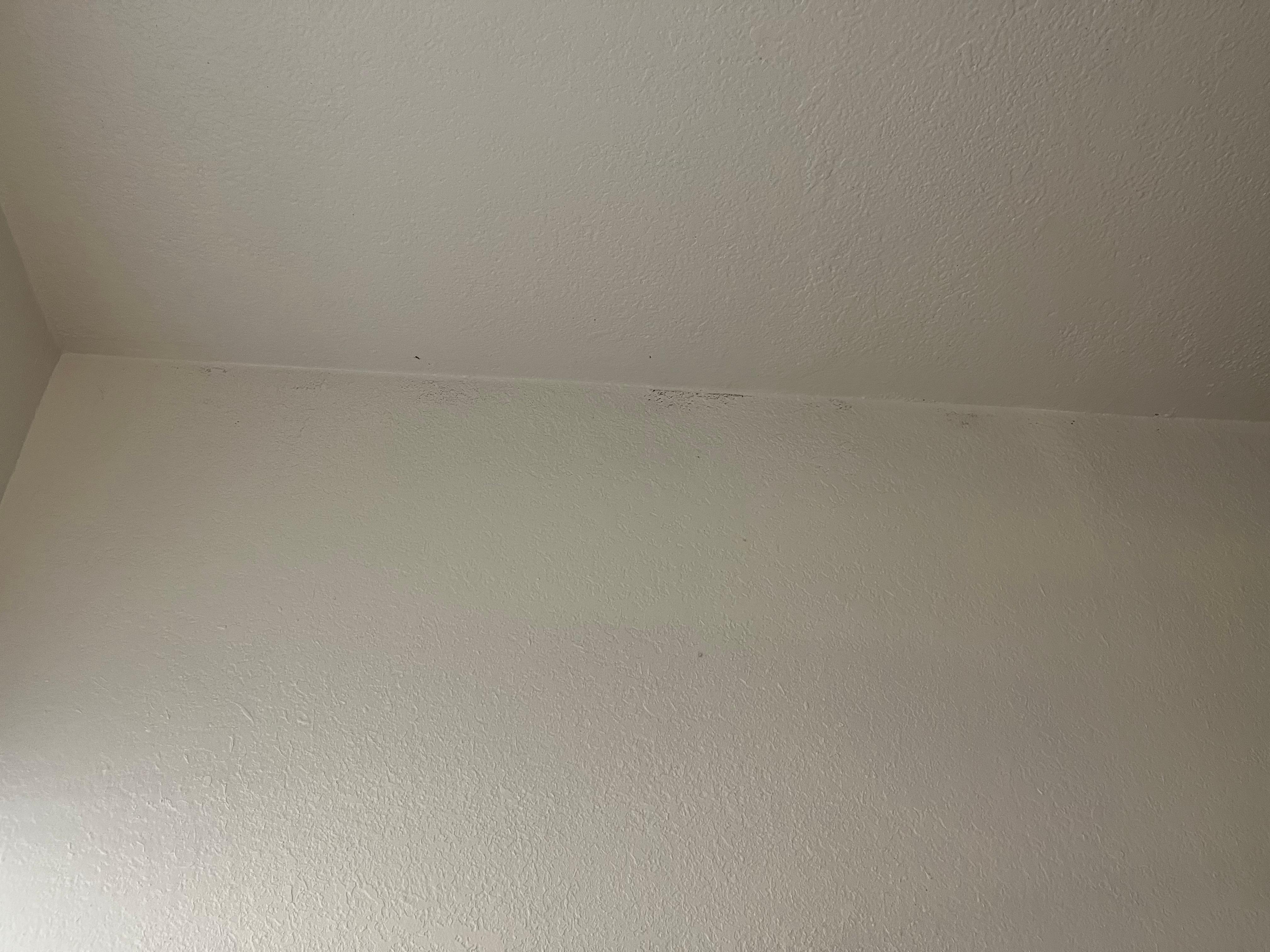 Mold
