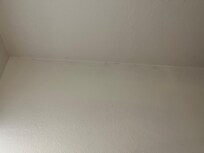 Mold