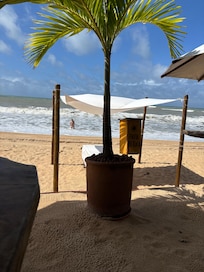 Bar da praia