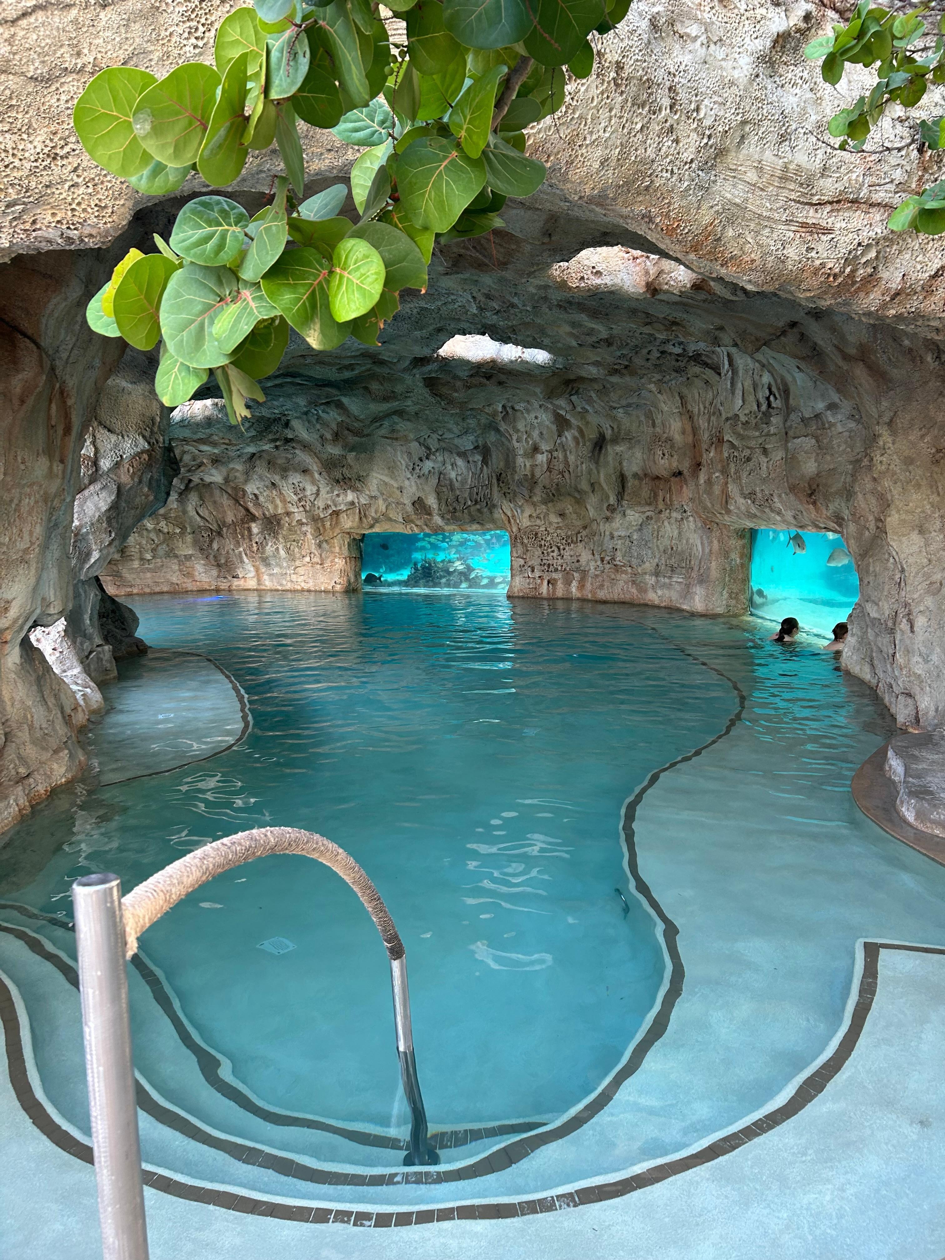 Pool with Aquarium. Very beautiful and relaxing! 😎 