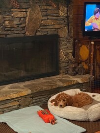 Even our pooch loved it!