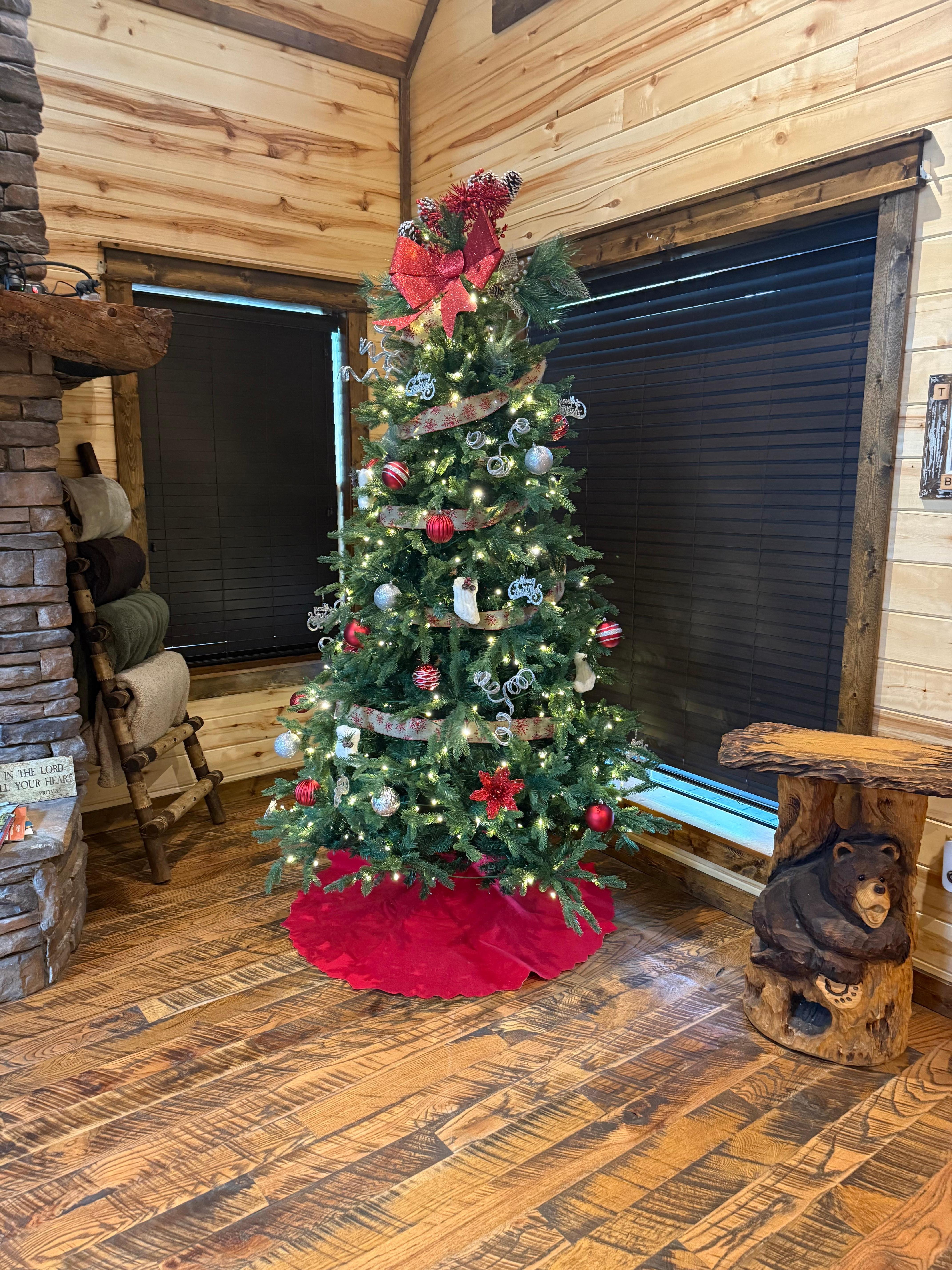 The Christmas tree was an added bonus. 