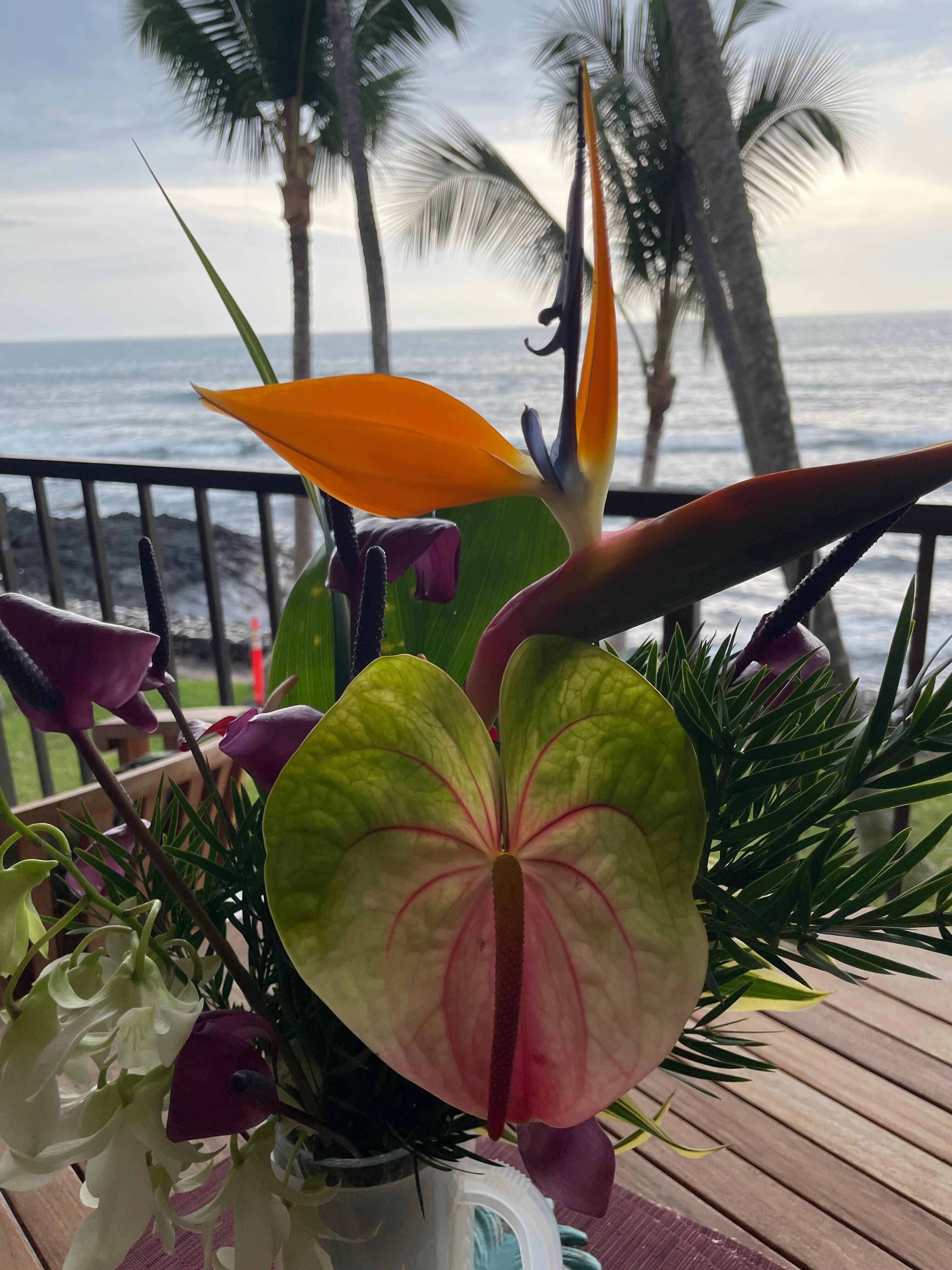 The weekend farmers market was steps away. We bought flowers, fruit and vegetables.