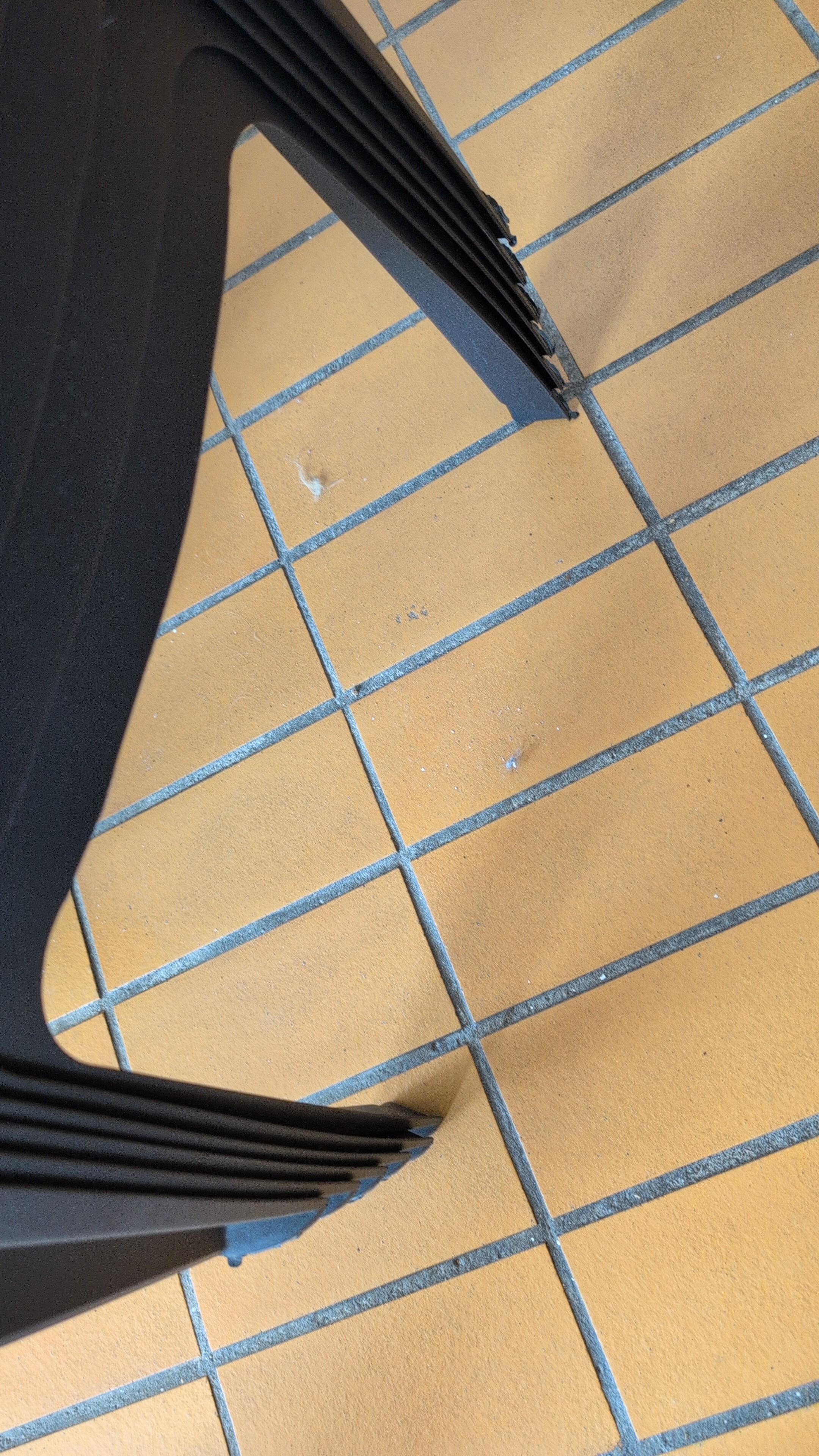 Poussière et toile d'araignee