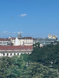 Alexander Nevsky Cathedral view from the room