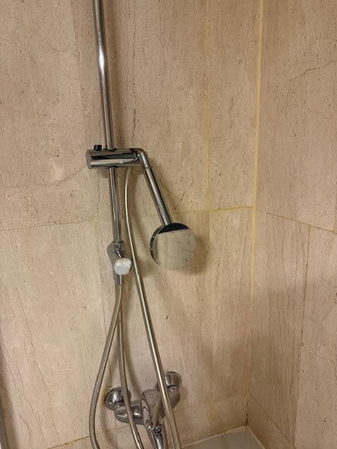 Master Bathroom Shower.