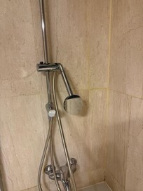 Master Bathroom Shower.