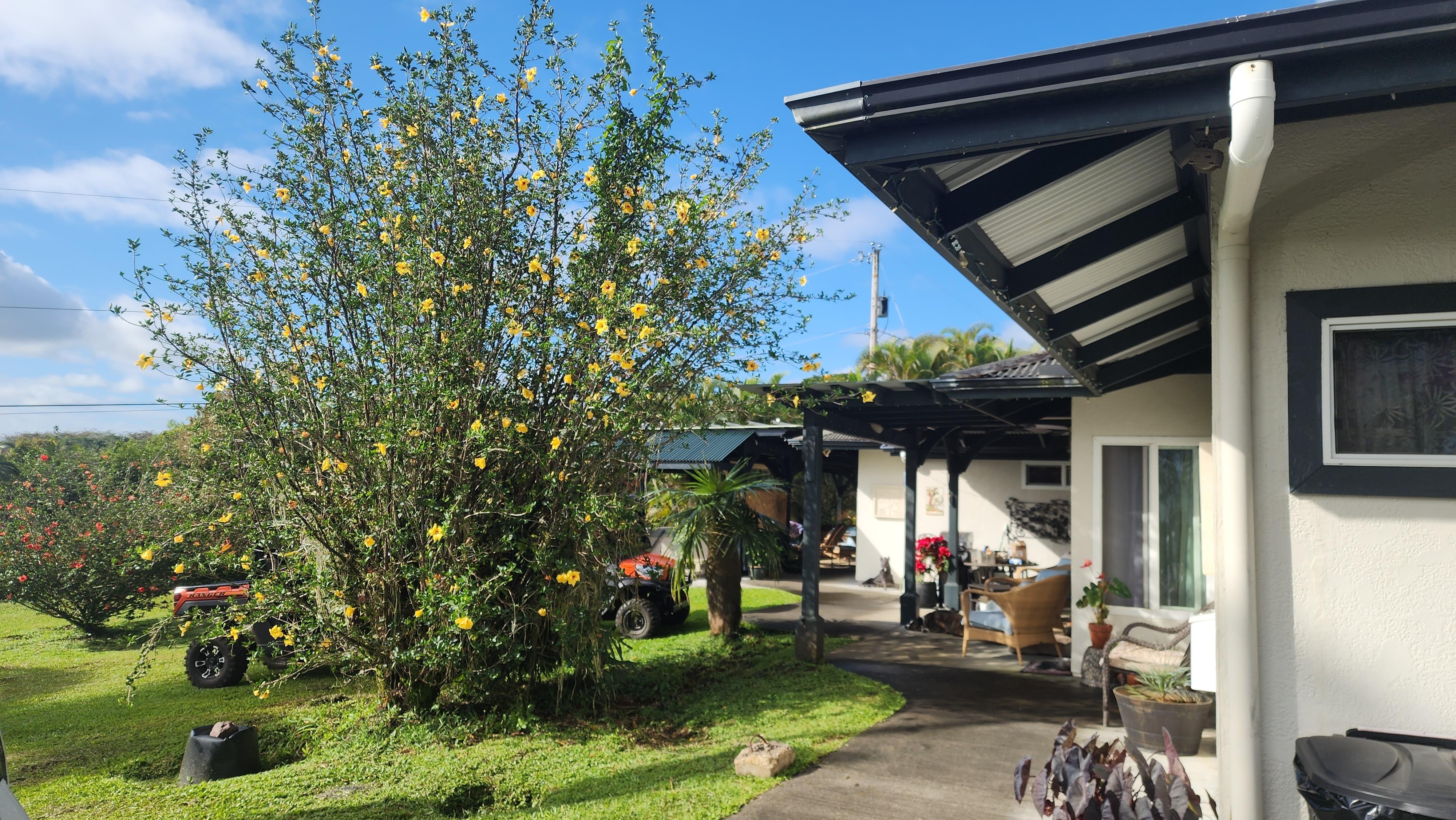 Front area of structure