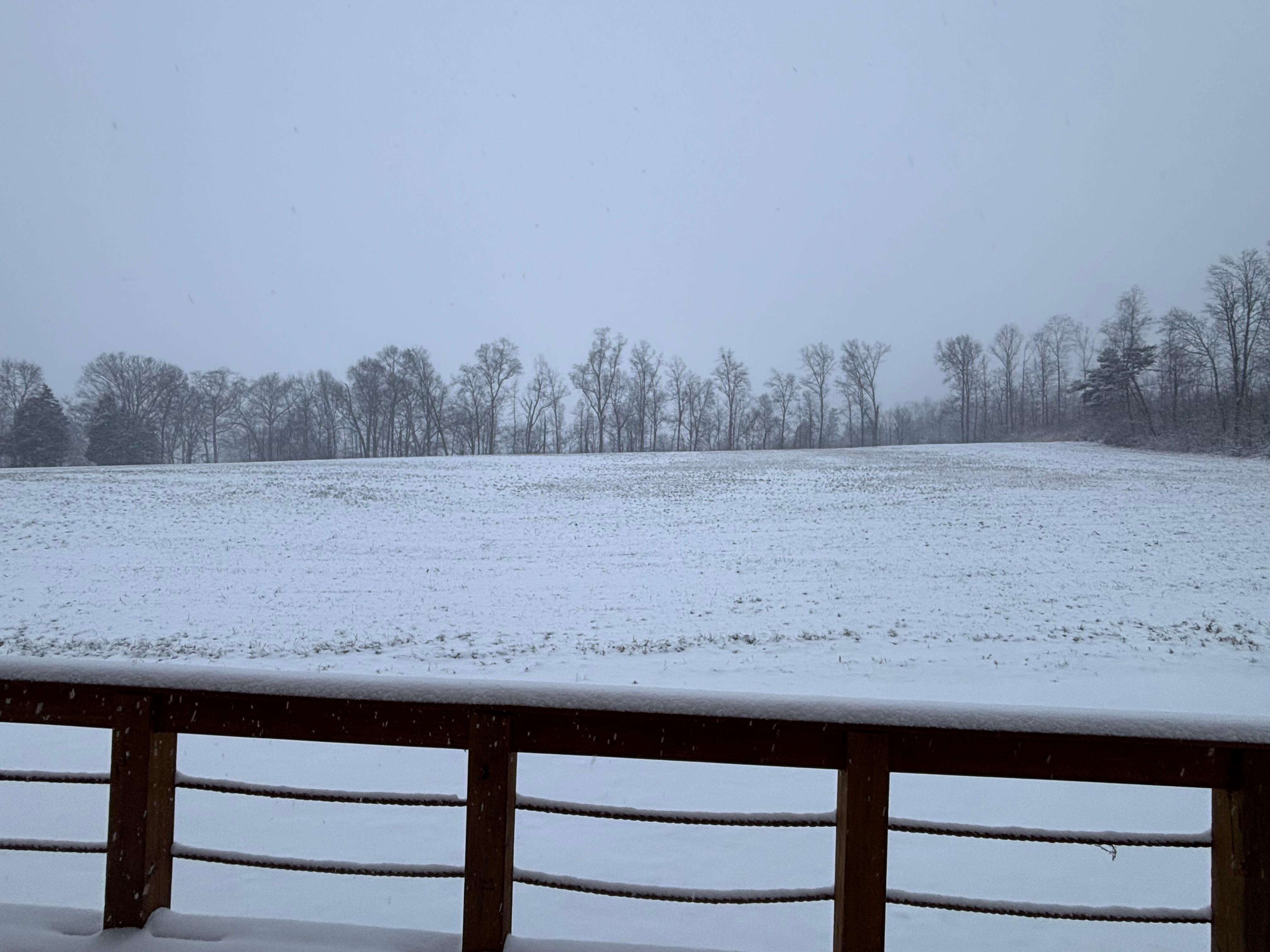 Winter wonderland from the back door. 