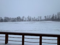 Winter wonderland from the back door.