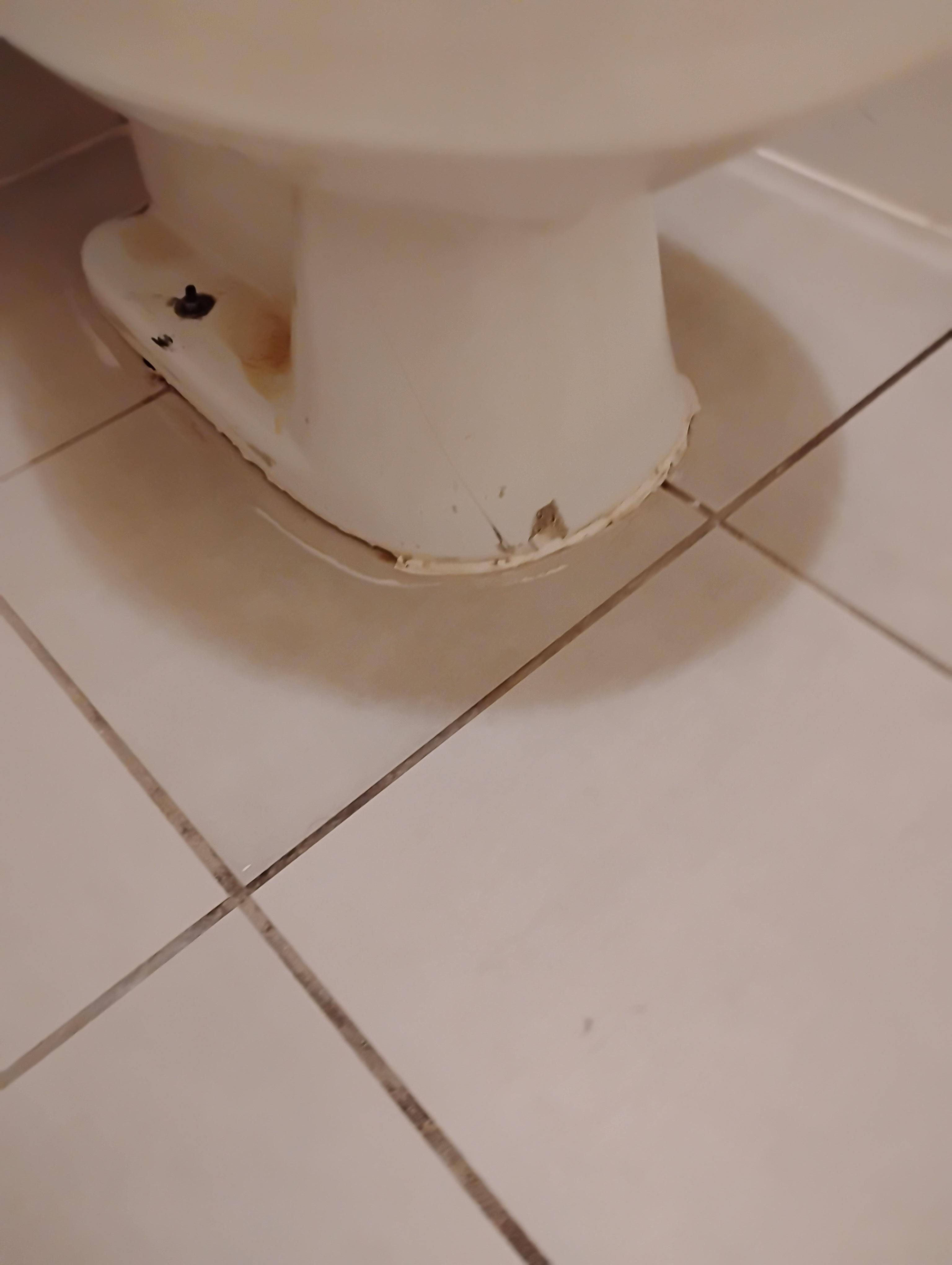 Broken toilet, gross too.
