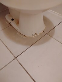Broken toilet, gross too.