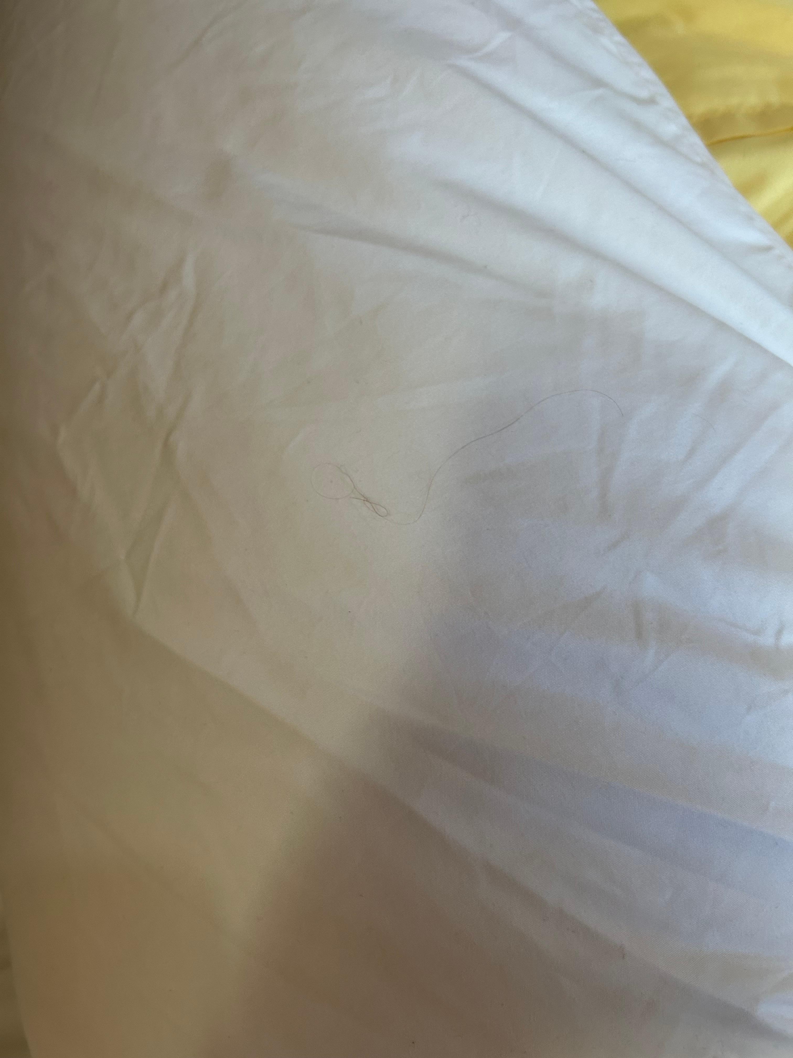 When I declined I was accused of doing this as a HABIT “which is very offensive and false I have photos very inappropriate of the management 