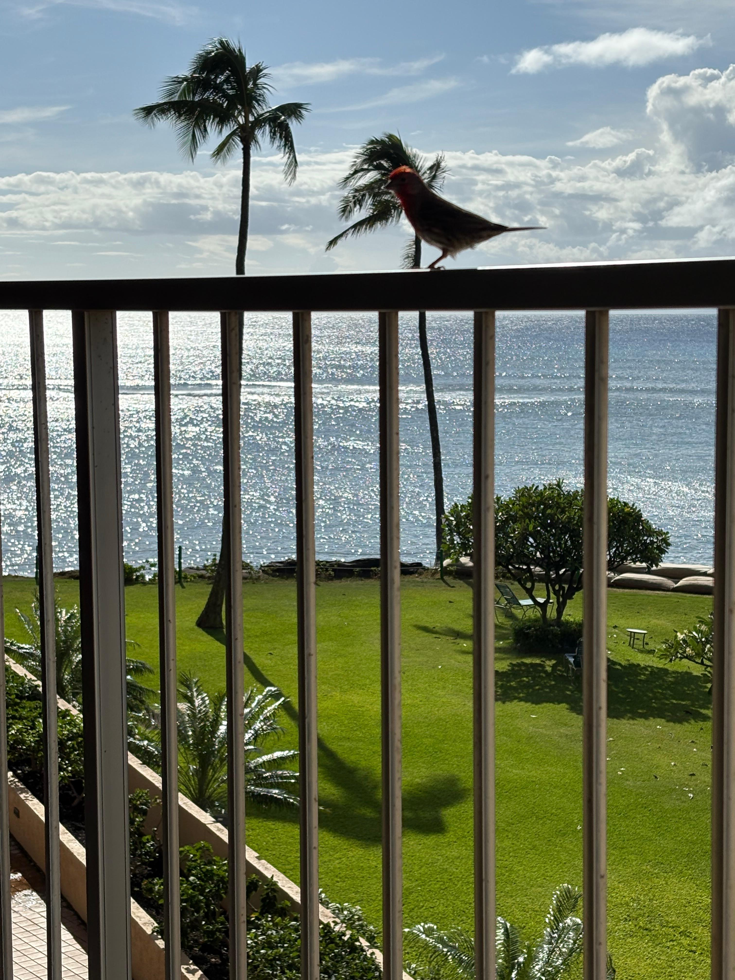 View from our room.