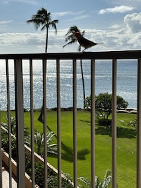 View from our room.