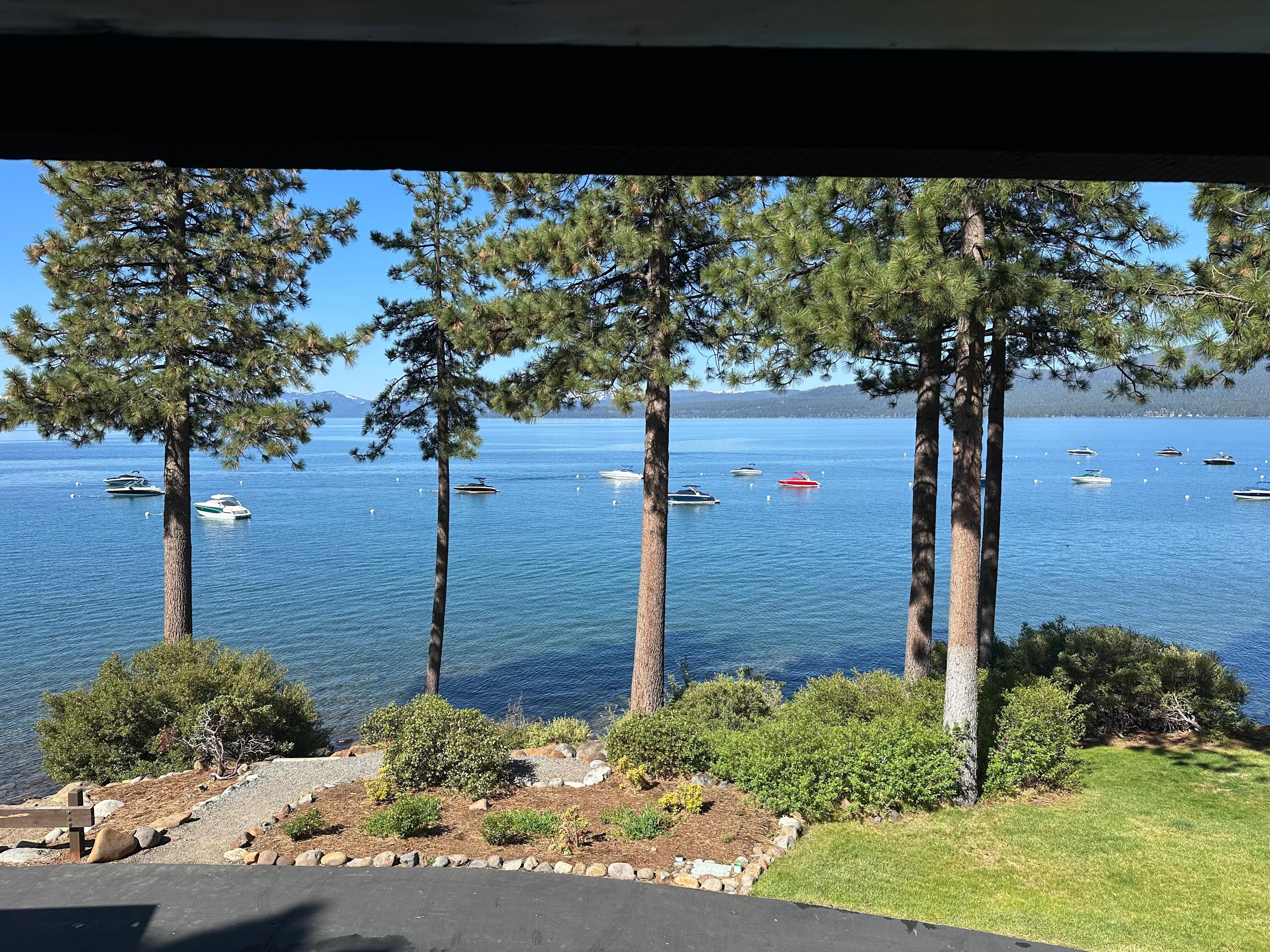 View from the patio