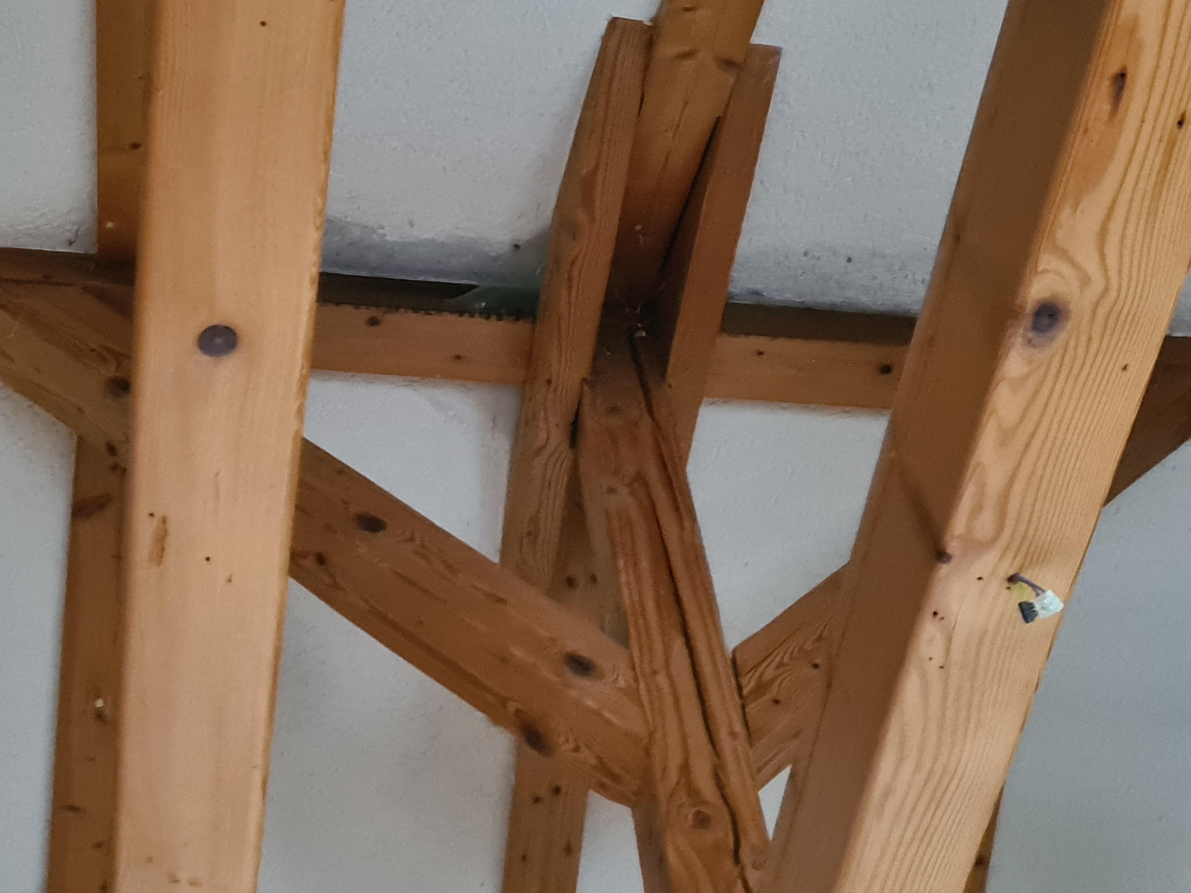 Die Decke feucht - modrig - Schimmel -