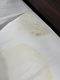 Urine and mold stains
